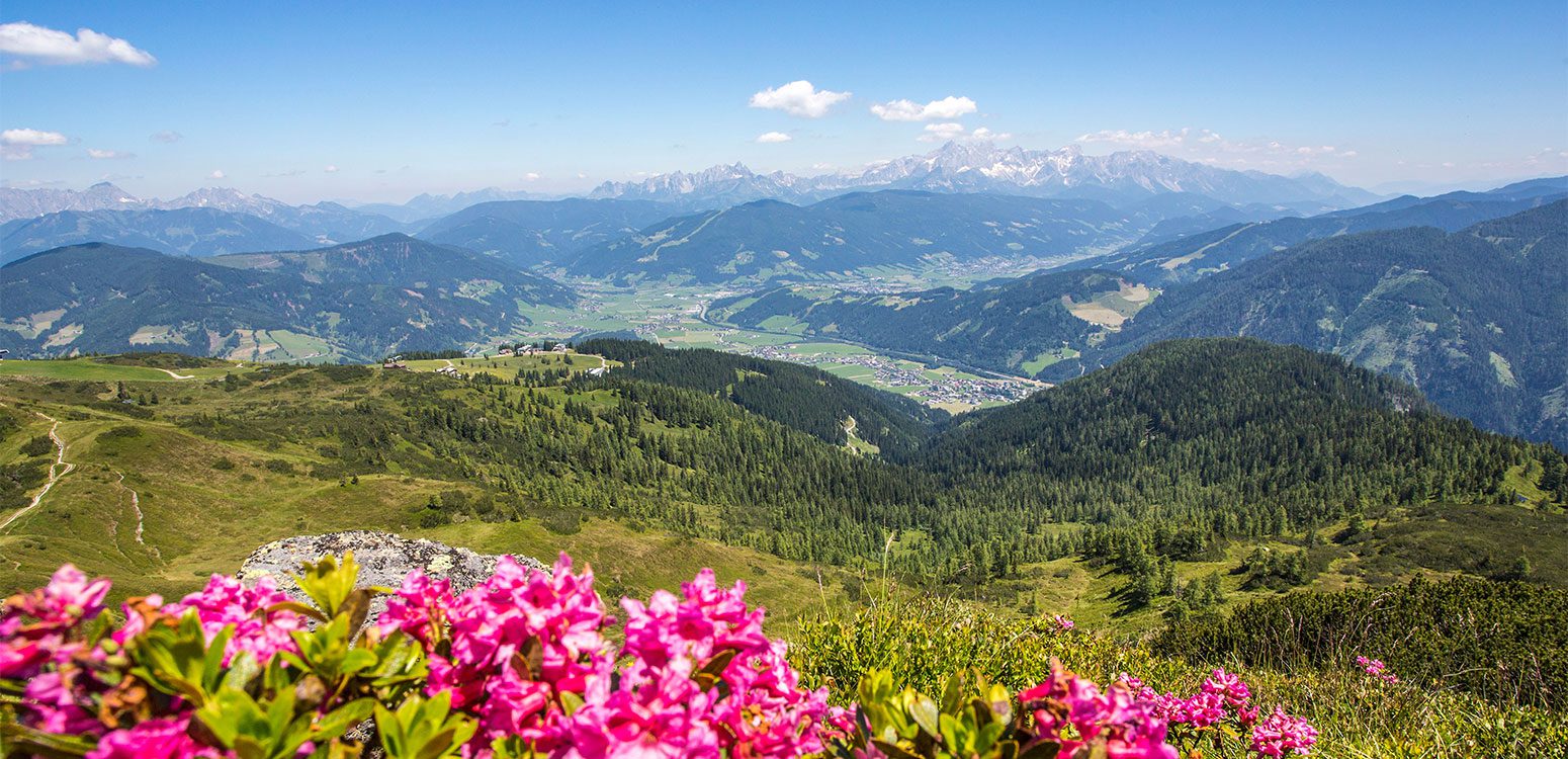 Sommerurlaub in Flachau, Salzburger Land